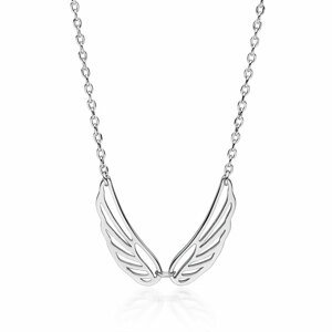 Klenoty Amber Strieborný náhrdelník s krídlami